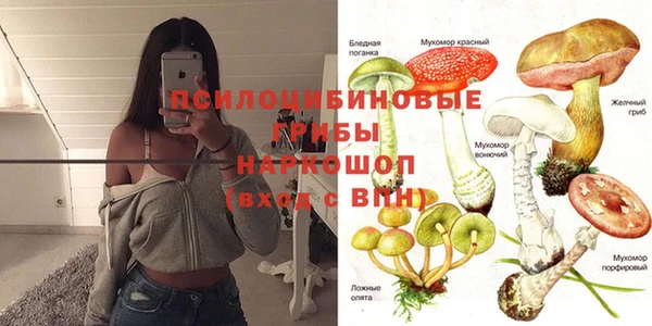 молекула духа Рославль
