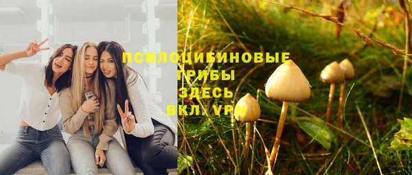 молекула духа Рославль