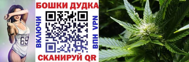 Шишки марихуана ГИДРОПОН гидра tor Каменка